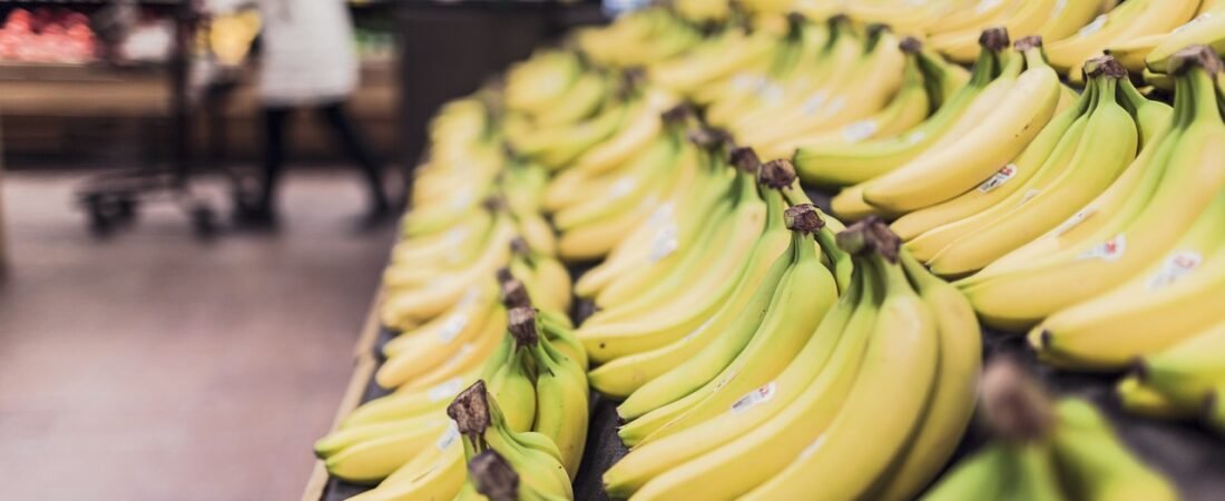 Beginner’s Guide to Plant-Based Grocery Shopping