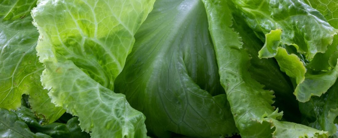 5 Gut-Healing Ingredients to Add to Your Meals