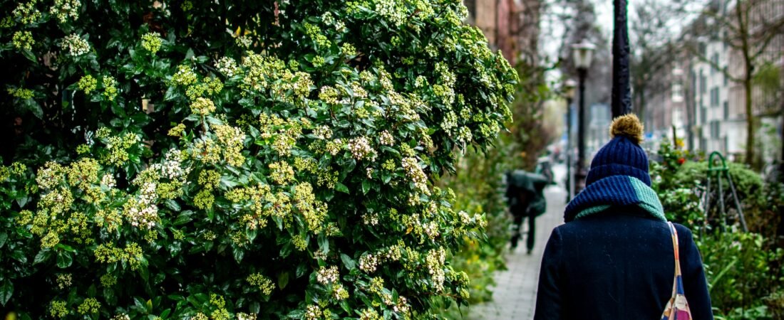 What to Pack for a Healthy Day Out